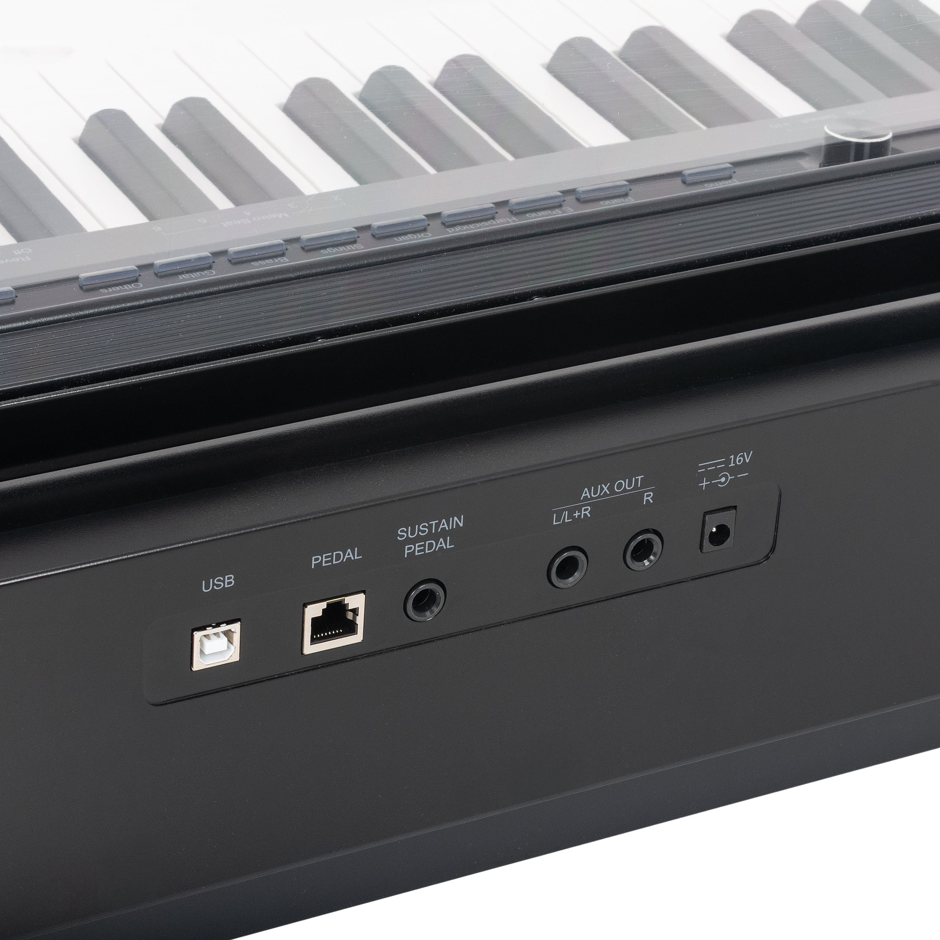 Sonix SXP8 portable digital piano | Chamberlain Pianos